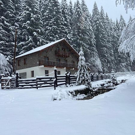 Chiba Chalet Timisu de Jos Dış mekan fotoğraf