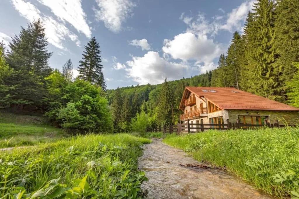 Chiba Chalet Timisu de Jos Dış mekan fotoğraf