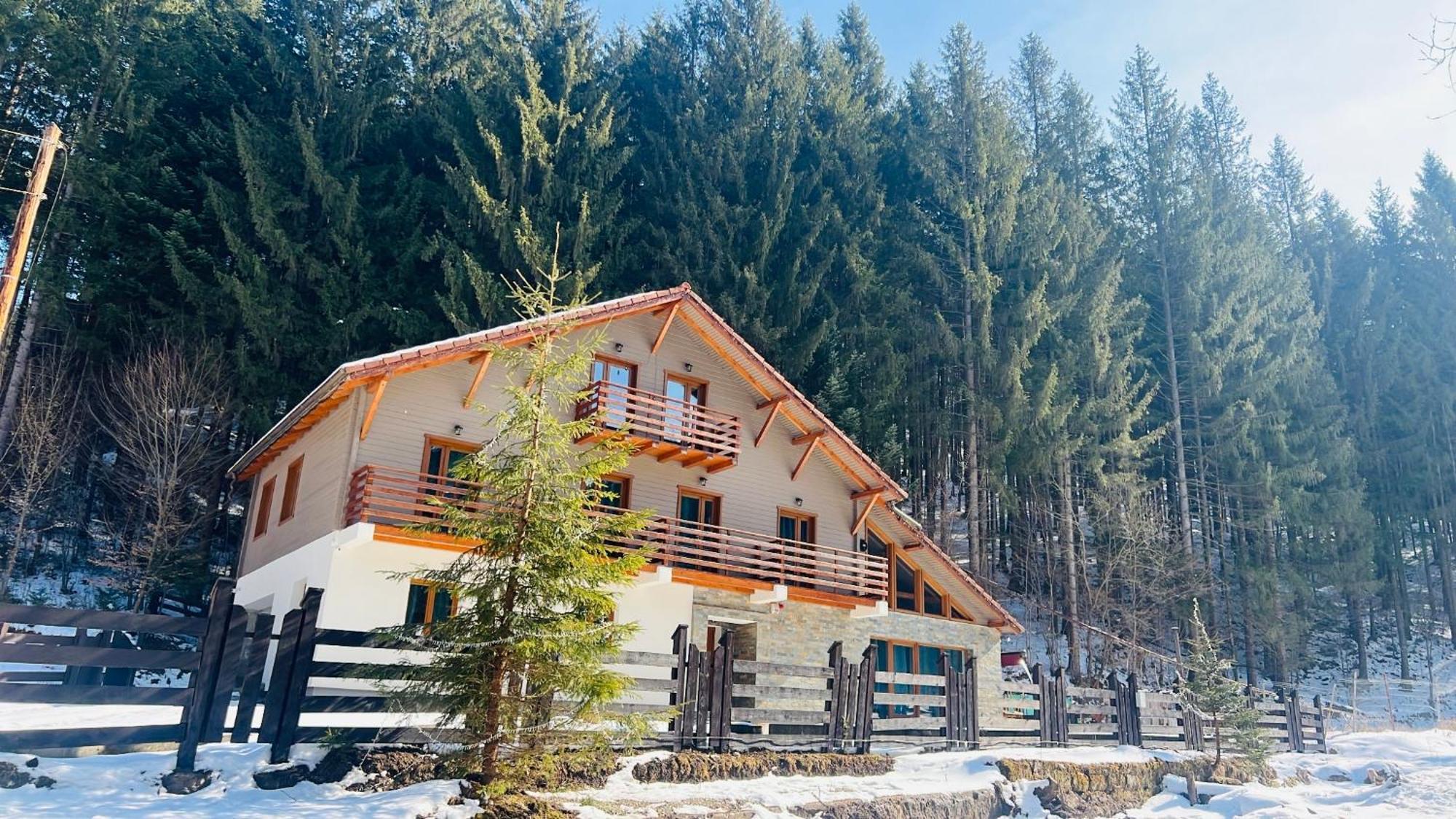 Chiba Chalet Timisu de Jos Dış mekan fotoğraf