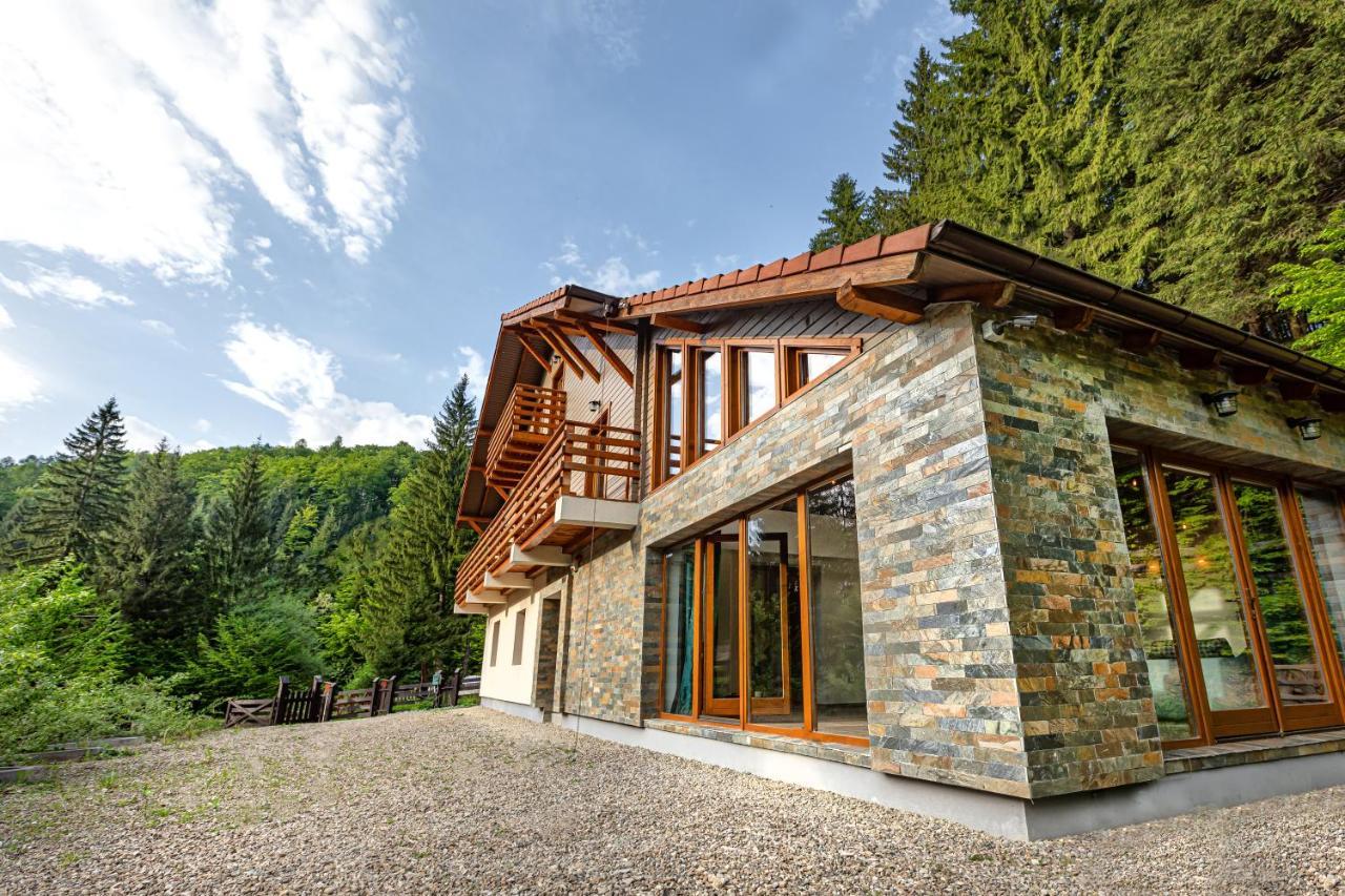 Chiba Chalet Timisu de Jos Dış mekan fotoğraf